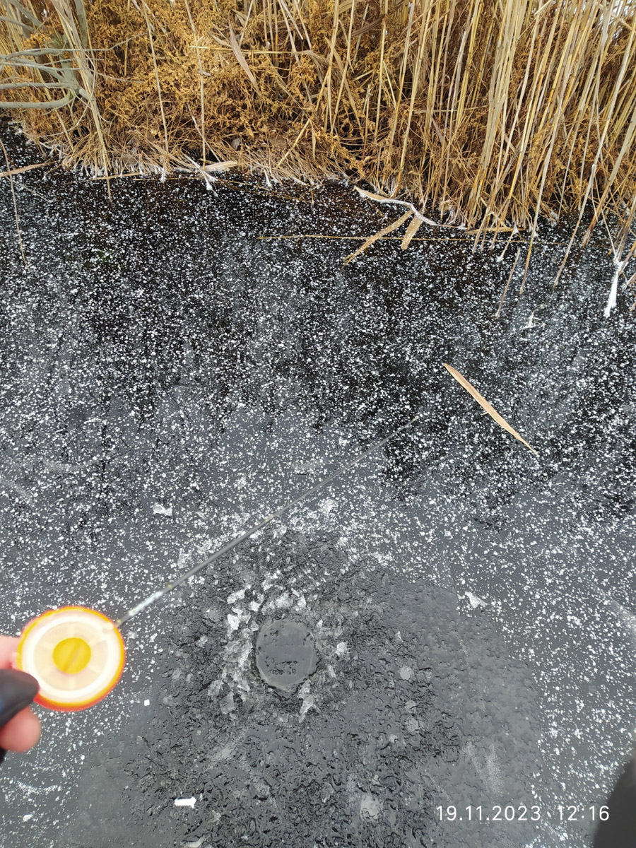 Владимирские рыбаки уже открыли сезон подледной ловли. Любителей посидеть на морозе с удочкой можно было заметить с начала недели. И если одни говорят, что время твердой воды настало, то другие предупреждают: лед под ногами трещит.