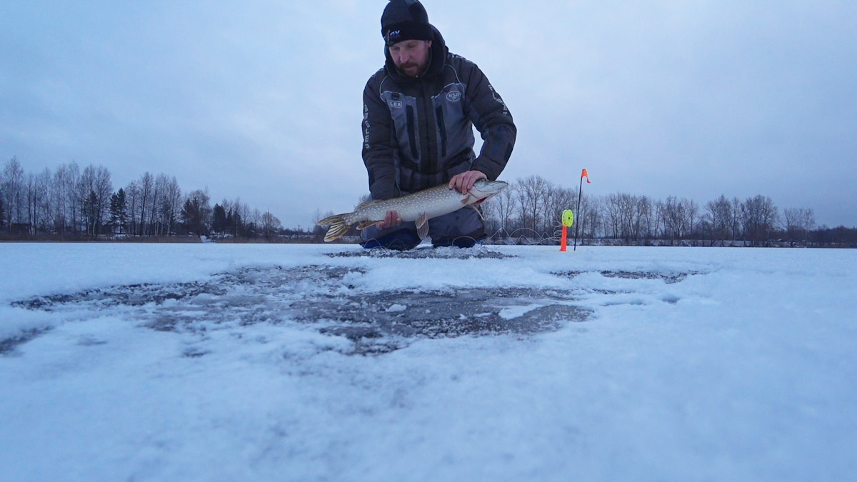 Владимирские рыбаки уже открыли сезон подледной ловли. Любителей посидеть на морозе с удочкой можно было заметить с начала недели. И если одни говорят, что время твердой воды настало, то другие предупреждают: лед под ногами трещит.