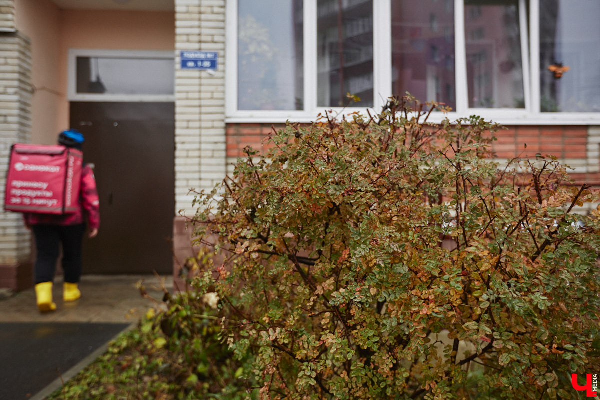 Владимирская художница Дарья Иванилова подрабатывает обычным курьером. Про себя говорит, живопись и велосипед — две ее главные страсти. А потому после утренней работы с натурщиками она до полуночи развозит по адресам продукты. «Ключ-Медиа» решил осветить сразу обе стороны жизни этой девушки.