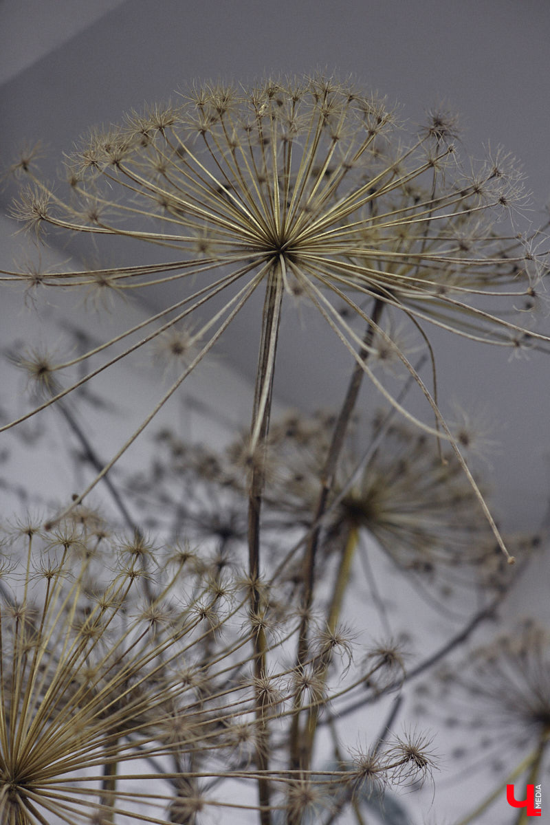Маргарита Зинова дарит новую жизнь старой мебели уже почти пять лет. Сначала она увлекалась перекраской современных предметов интерьера, а затем перешла к реставрации старинных вещей. Мы напросились к ней в мастерскую, чтобы своими глазами увидеть некоторые интересные экземпляры.