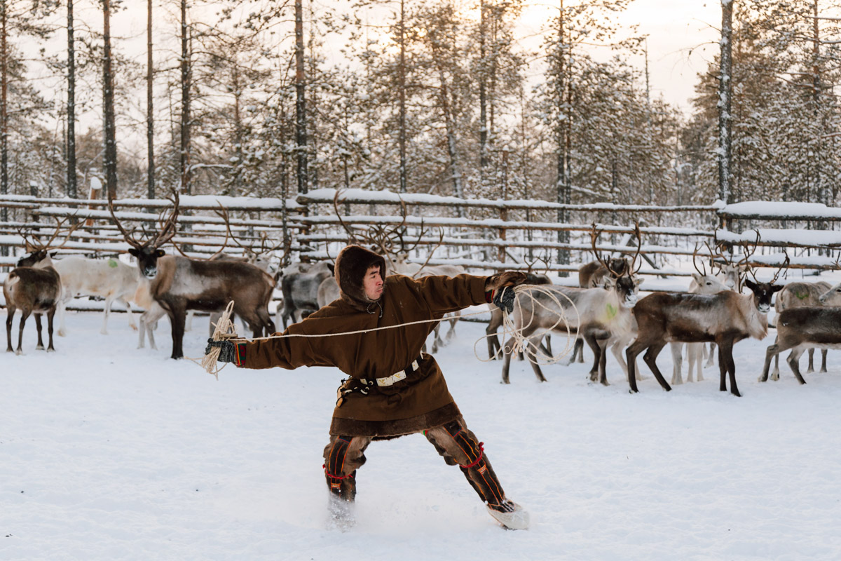Снимок тревел-фотографа Андрея Белавина покорил членов жюри всероссийского фестиваля «Путешествуйте дома». Кадр с упряжкой северных оленей занял первое место в номинации «Сюжетное фото».