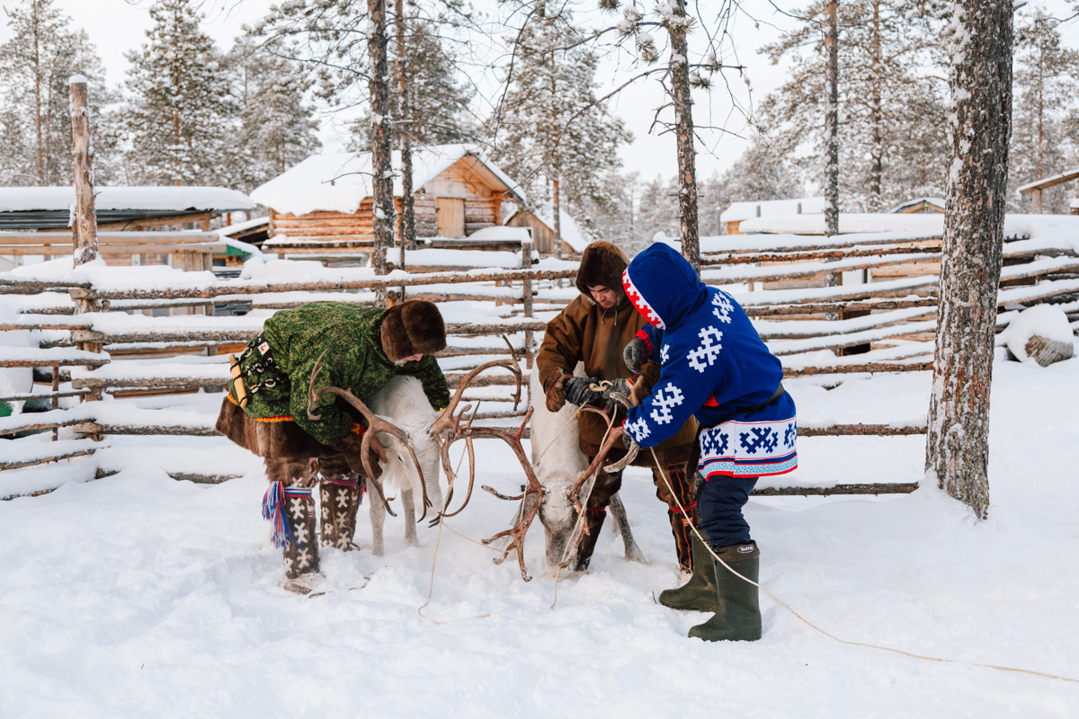 Снимок тревел-фотографа Андрея Белавина покорил членов жюри всероссийского фестиваля «Путешествуйте дома». Кадр с упряжкой северных оленей занял первое место в номинации «Сюжетное фото».