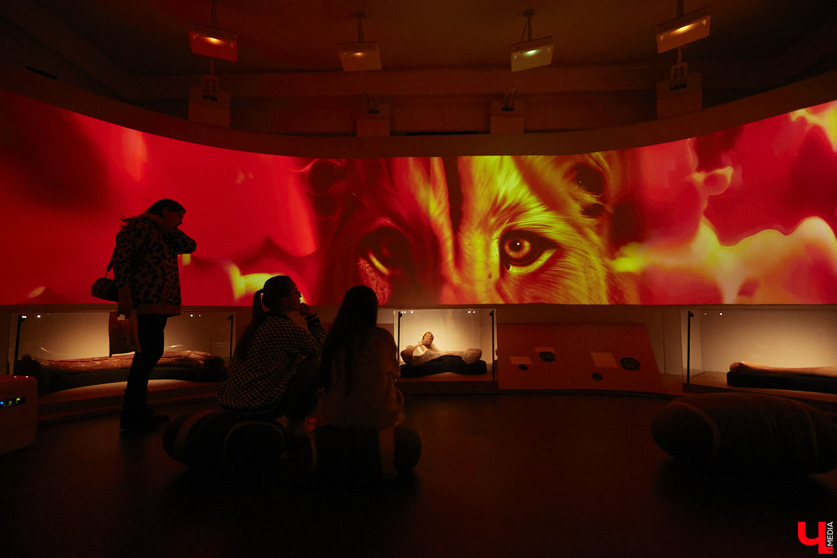 Юбилей Суздаля сейчас чуть ли не тема № 1 в культурной жизни страны. Город преображается и ждет толпу туристов в 2024 году. А вы знали, что с высоты он совсем другой, нежели с земли? Открыть его с иного ракурса можно в обновленном кинозале «Палат», где стартует показ VR-фильмов про Жемчужину Золотого кольца. Кстати, музейный комплекс приготовил для гостей и другие приятности!