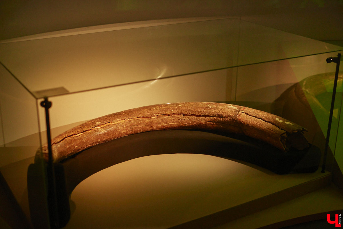 Юбилей Суздаля сейчас чуть ли не тема № 1 в культурной жизни страны. Город преображается и ждет толпу туристов в 2024 году. А вы знали, что с высоты он совсем другой, нежели с земли? Открыть его с иного ракурса можно в обновленном кинозале «Палат», где стартует показ VR-фильмов про Жемчужину Золотого кольца. Кстати, музейный комплекс приготовил для гостей и другие приятности!