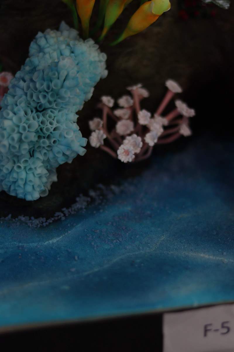 Настоящие произведения кондитерского искусства были представлены на международной выставке «Престиж. Царство Посейдона» в столице России. В их число вошли и работы мастеров из 33-го региона, которыми «Ключ-Медиа» искренне залюбовался.