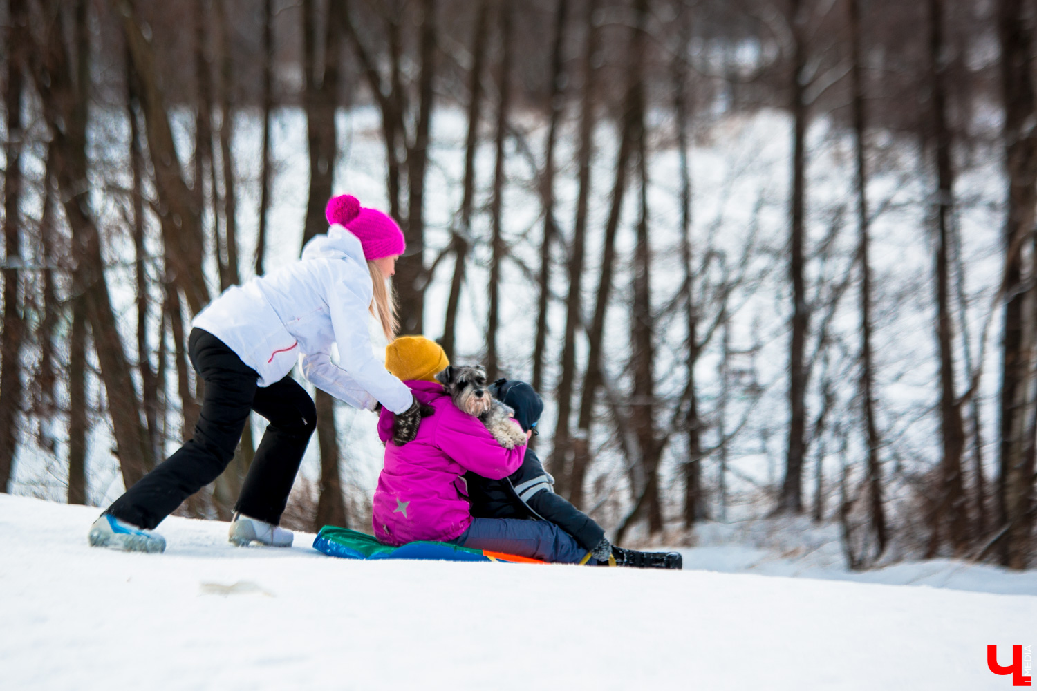 Во Владимире стала известна программа новогодних мероприятий. Праздники стартуют 15 декабря и продлятся без малого месяц. Главной точкой торжества в самую волшебную зимнюю ночь станет Соборная площадь. Но гуляния запланированы по всему городу. Узнаем, куда стоит пойти.