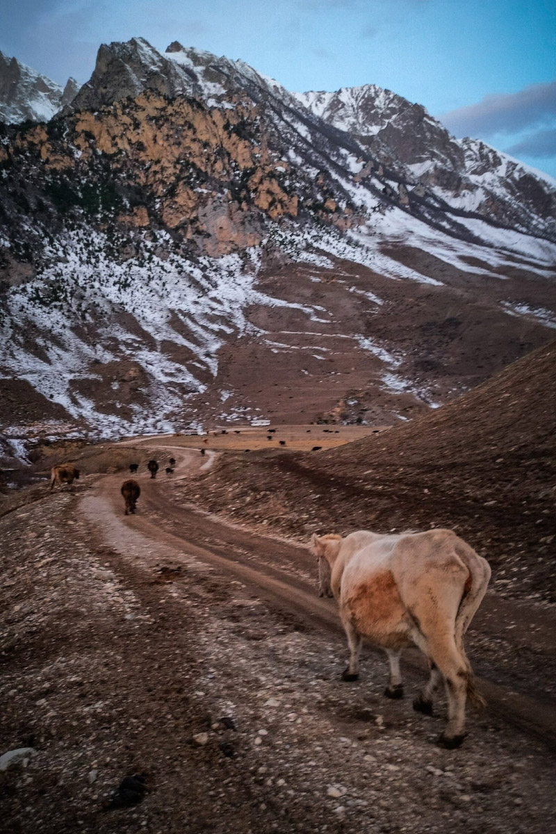 Владимирский фотограф Василий Никитинский провел отпуск в Кабардино-Балкарии. Приэльбрусье его покорило, а потому он всем рекомендует хоть раз в жизни посетить этот край. Своими впечатлениями мужчина поделился и с нашим изданием.
