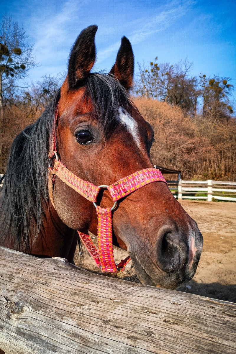 Владимирский фотограф Василий Никитинский провел отпуск в Кабардино-Балкарии. Приэльбрусье его покорило, а потому он всем рекомендует хоть раз в жизни посетить этот край. Своими впечатлениями мужчина поделился и с нашим изданием.