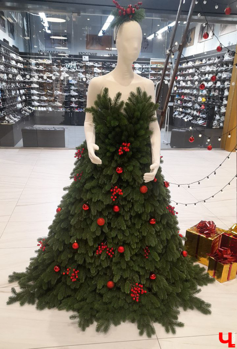 До Нового года рукой подать, а значит, самое время создать себе праздничное настроение. Улицы города уже украшены, да и ёлки в магазинах, домах, офисах большинство владимирцев давно нарядили. И некоторые из них подошли к этому вопросу весьма креативно!