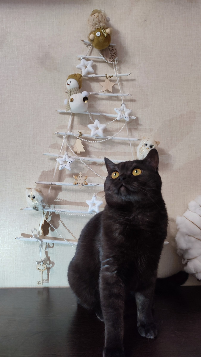 До Нового года рукой подать, а значит, самое время создать себе праздничное настроение. Улицы города уже украшены, да и ёлки в магазинах, домах, офисах большинство владимирцев давно нарядили. И некоторые из них подошли к этому вопросу весьма креативно!