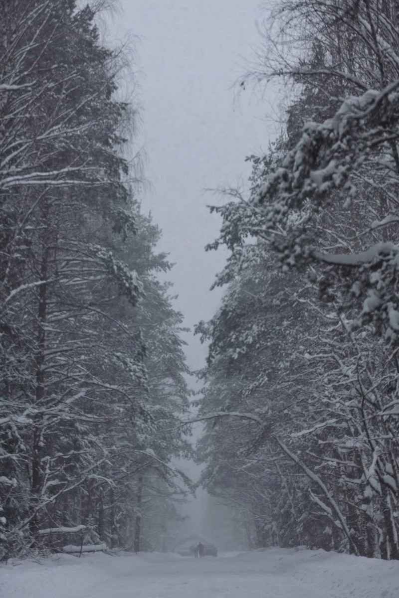 Владимирский бегун Дмитрий Шунин завершил год победой на самом массовом зимнем марафоне России Mad Fox Ultra. Спортсмен в третий раз первым преодолел 40 км по пересеченной местности и поднялся на высшую строчку престижного соревнования несмотря на сложные погодные условия. Передвигаться трейлраннерам пришлось в ледяной дождь, метель и по сугробам.