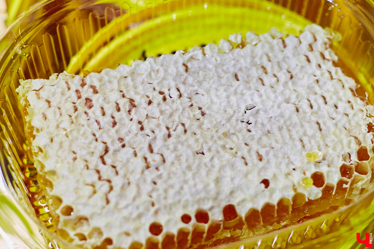 В центре Владимира установили новогоднюю композицию из ландшафтных светильников. Необычный арт-объект появился возле Золотых ворот, издалека он напоминает ледяные скульптуры. Подарил заснеженный лес городу неизвестный спонсор.