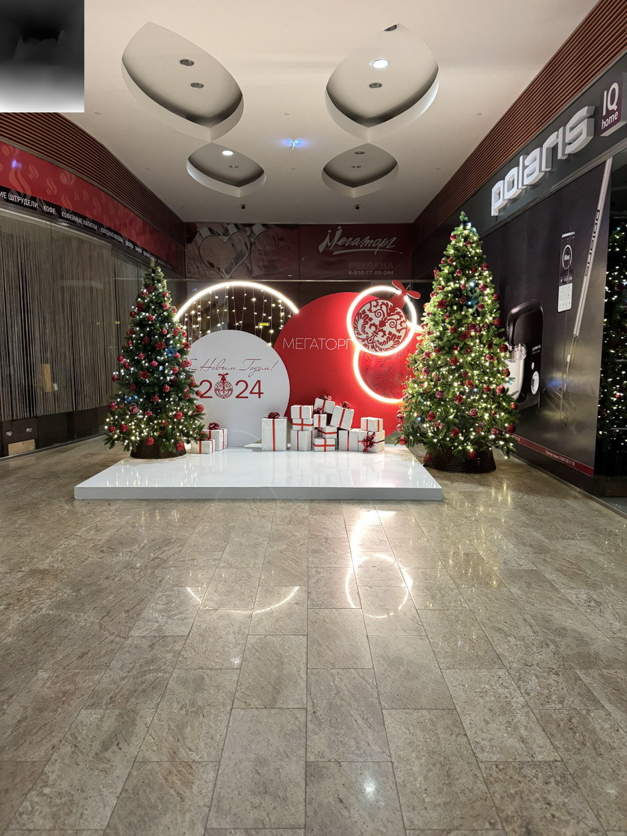 До Нового года рукой подать. Первым делом планируем поход за подарками в торговые центры. В этом году они потрясают своим ярким убранством, о котором позаботились профессиональные декораторы. Впрочем, волшебства они добавили и другим популярным владимирским локациям.