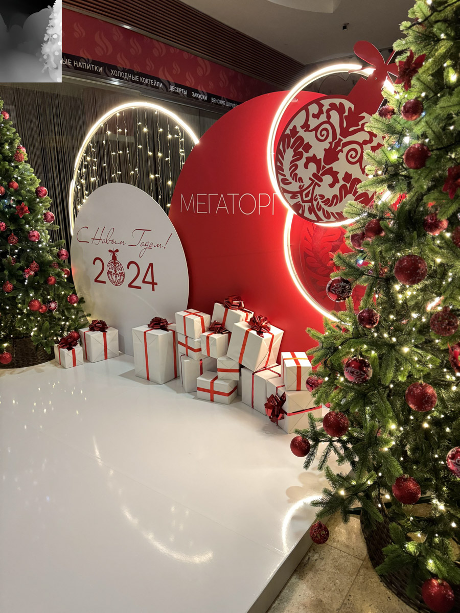 До Нового года рукой подать. Первым делом планируем поход за подарками в торговые центры. В этом году они потрясают своим ярким убранством, о котором позаботились профессиональные декораторы. Впрочем, волшебства они добавили и другим популярным владимирским локациям.