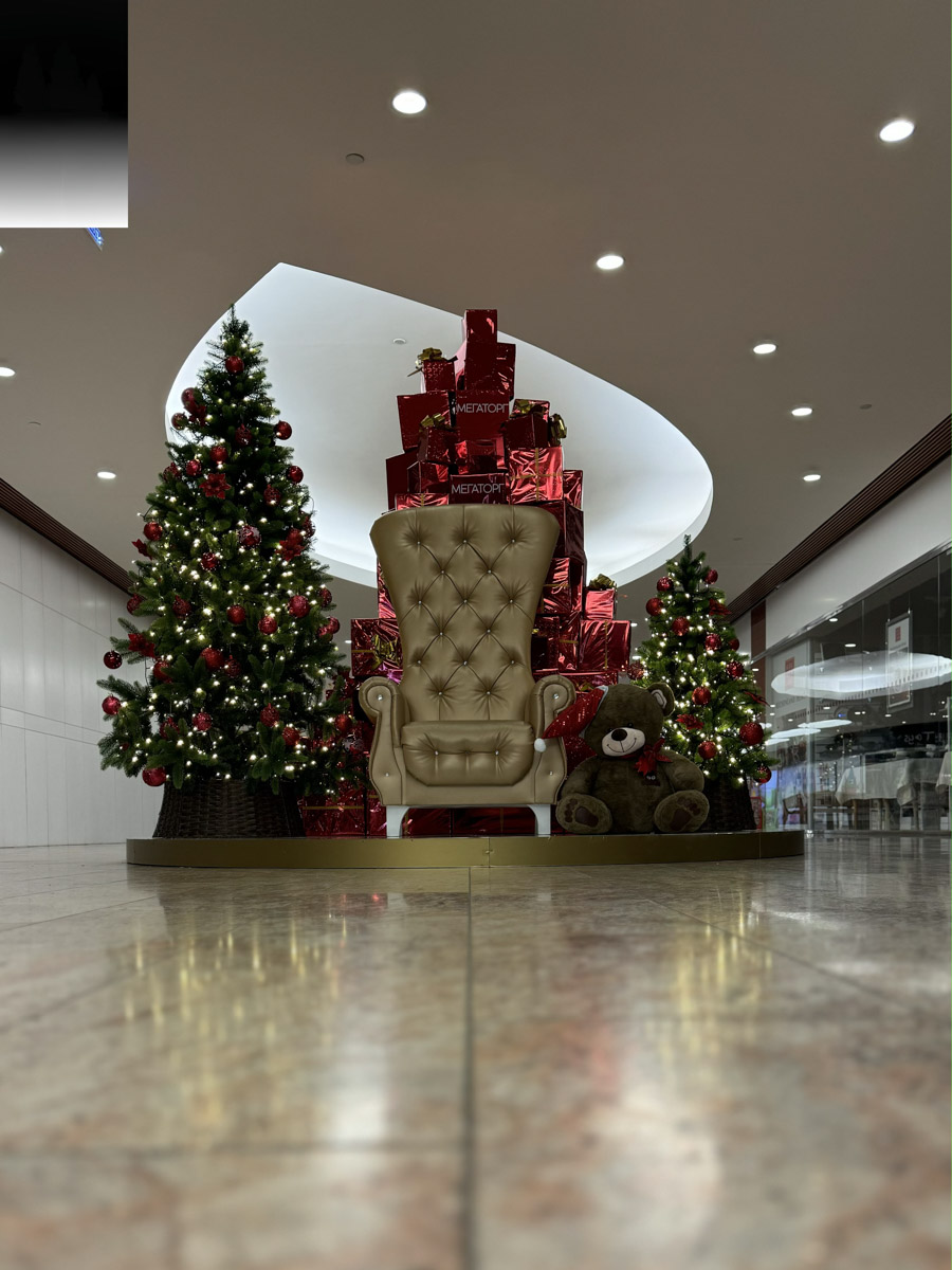 До Нового года рукой подать. Первым делом планируем поход за подарками в торговые центры. В этом году они потрясают своим ярким убранством, о котором позаботились профессиональные декораторы. Впрочем, волшебства они добавили и другим популярным владимирским локациям.