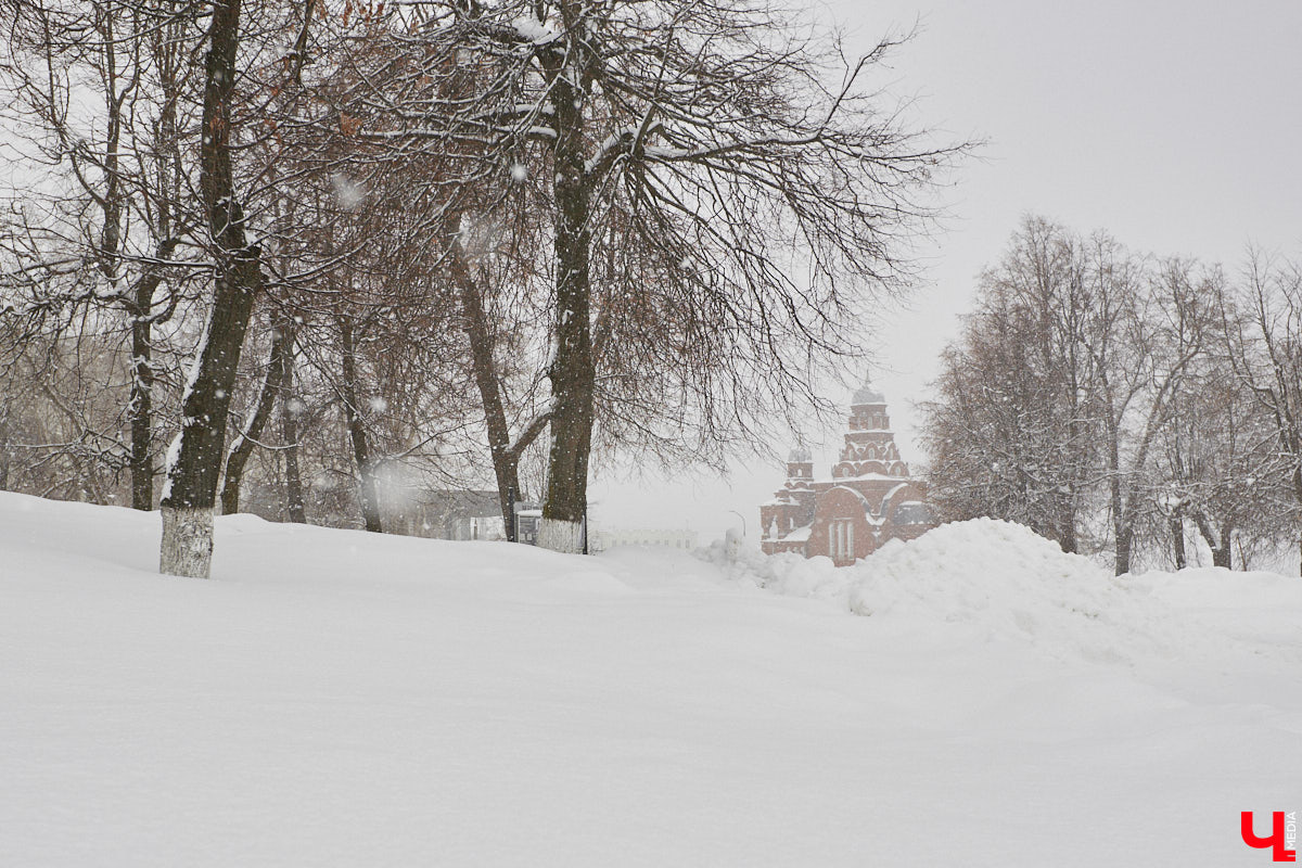 Январь 2024 года впечатлит даже тех, кто привык к метеосюрпризам. Согласно прогнозу, жителям Владимирской области стоит приготовиться к трипу из оттепели в ледяное царство и обратно. От поездки не отказаться, так что дружно садимся в этот погодный поезд и наблюдаем за происходящим через пассажирское окно.