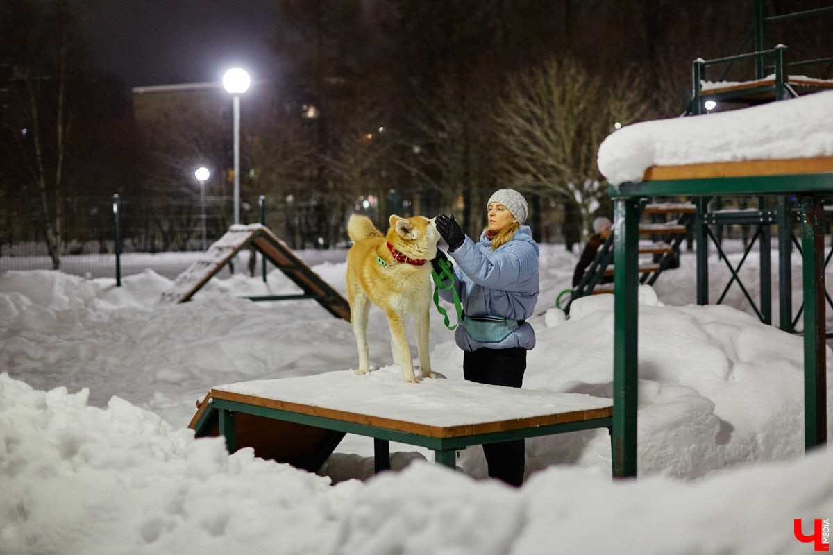В областной столице регулярно появляются спортивные зоны и детские площадки, а вот централизованных территорий для выгула и дрессировки собак дефицит. За пару лет было построено несколько парков в разных районах города. Оценить существующую дог-инфраструктуру «Ключ-Медиа» попросил владимирского кинолога.