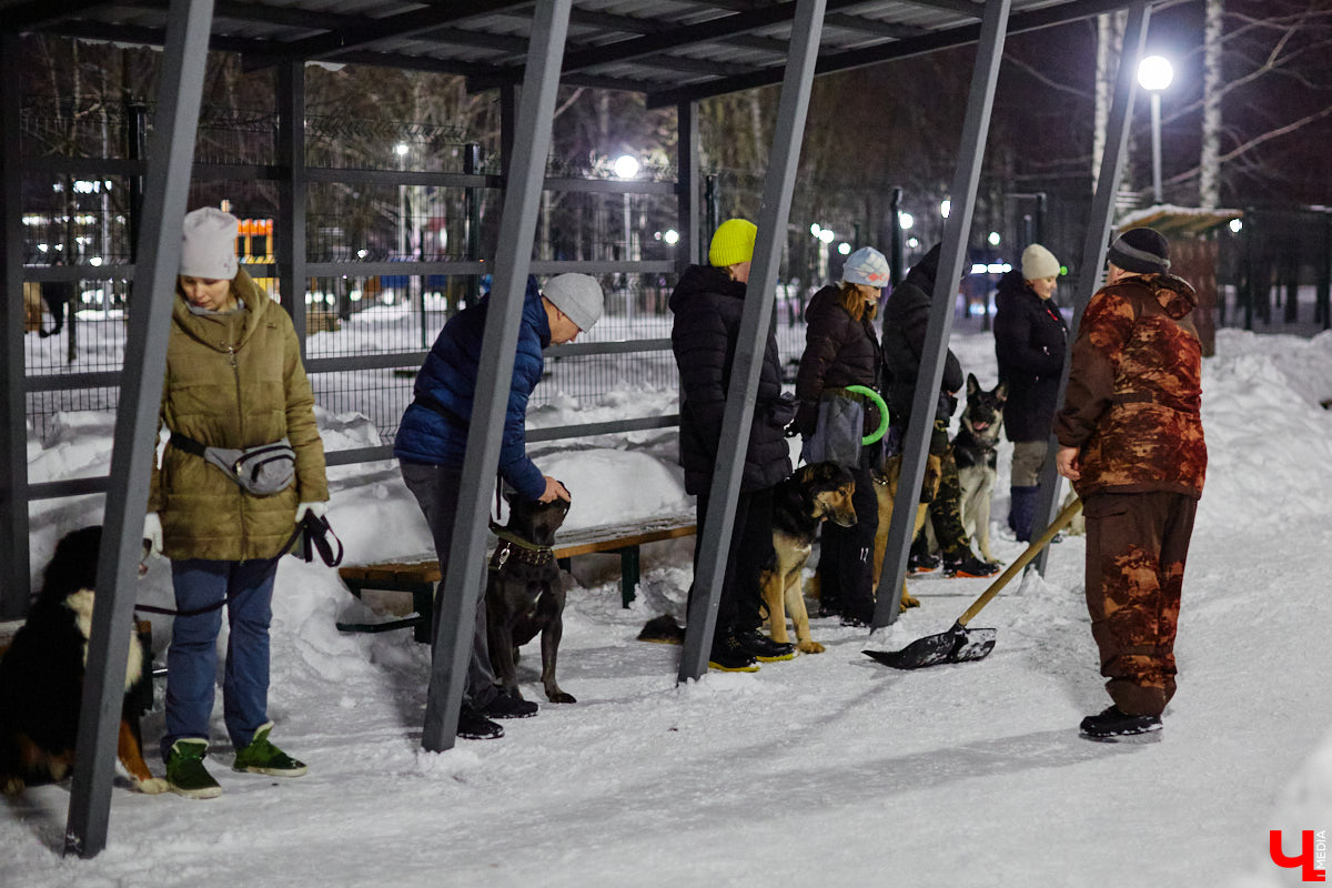 В областной столице регулярно появляются спортивные зоны и детские площадки, а вот централизованных территорий для выгула и дрессировки собак дефицит. За пару лет было построено несколько парков в разных районах города. Оценить существующую дог-инфраструктуру «Ключ-Медиа» попросил владимирского кинолога.