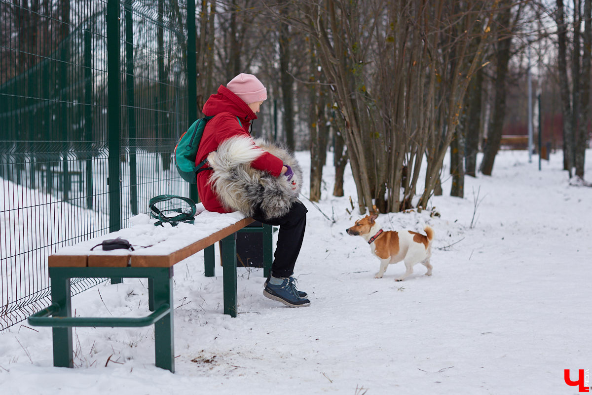 В областной столице регулярно появляются спортивные зоны и детские площадки, а вот централизованных территорий для выгула и дрессировки собак дефицит. За пару лет было построено несколько парков в разных районах города. Оценить существующую дог-инфраструктуру «Ключ-Медиа» попросил владимирского кинолога.