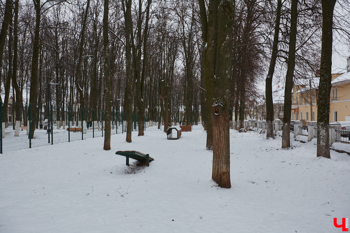 В областной столице регулярно появляются спортивные зоны и детские площадки, а вот централизованных территорий для выгула и дрессировки собак дефицит. За пару лет было построено несколько парков в разных районах города. Оценить существующую дог-инфраструктуру «Ключ-Медиа» попросил владимирского кинолога.