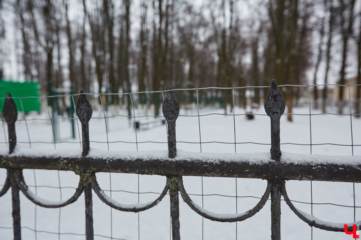 В областной столице регулярно появляются спортивные зоны и детские площадки, а вот централизованных территорий для выгула и дрессировки собак дефицит. За пару лет было построено несколько парков в разных районах города. Оценить существующую дог-инфраструктуру «Ключ-Медиа» попросил владимирского кинолога.