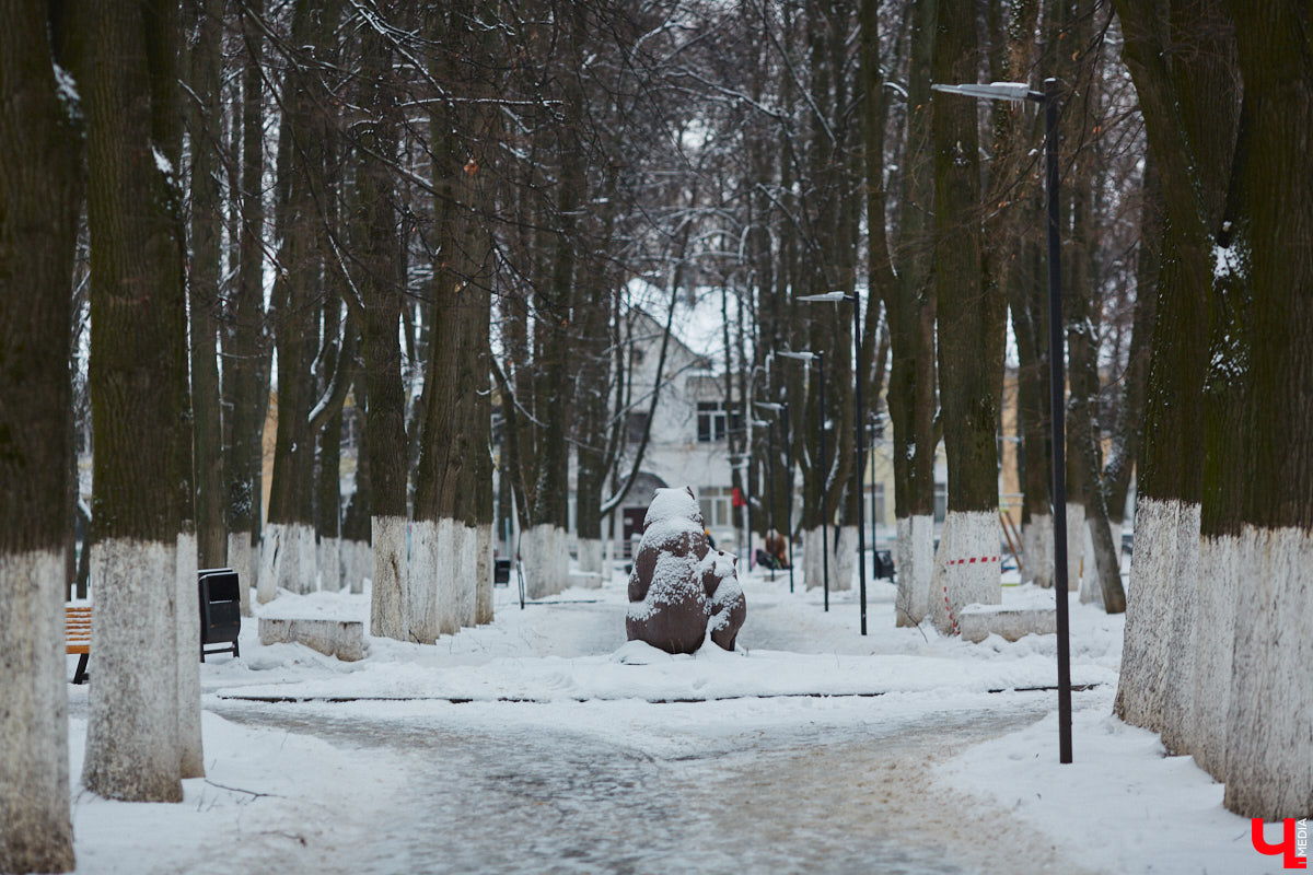 В областной столице регулярно появляются спортивные зоны и детские площадки, а вот централизованных территорий для выгула и дрессировки собак дефицит. За пару лет было построено несколько парков в разных районах города. Оценить существующую дог-инфраструктуру «Ключ-Медиа» попросил владимирского кинолога.