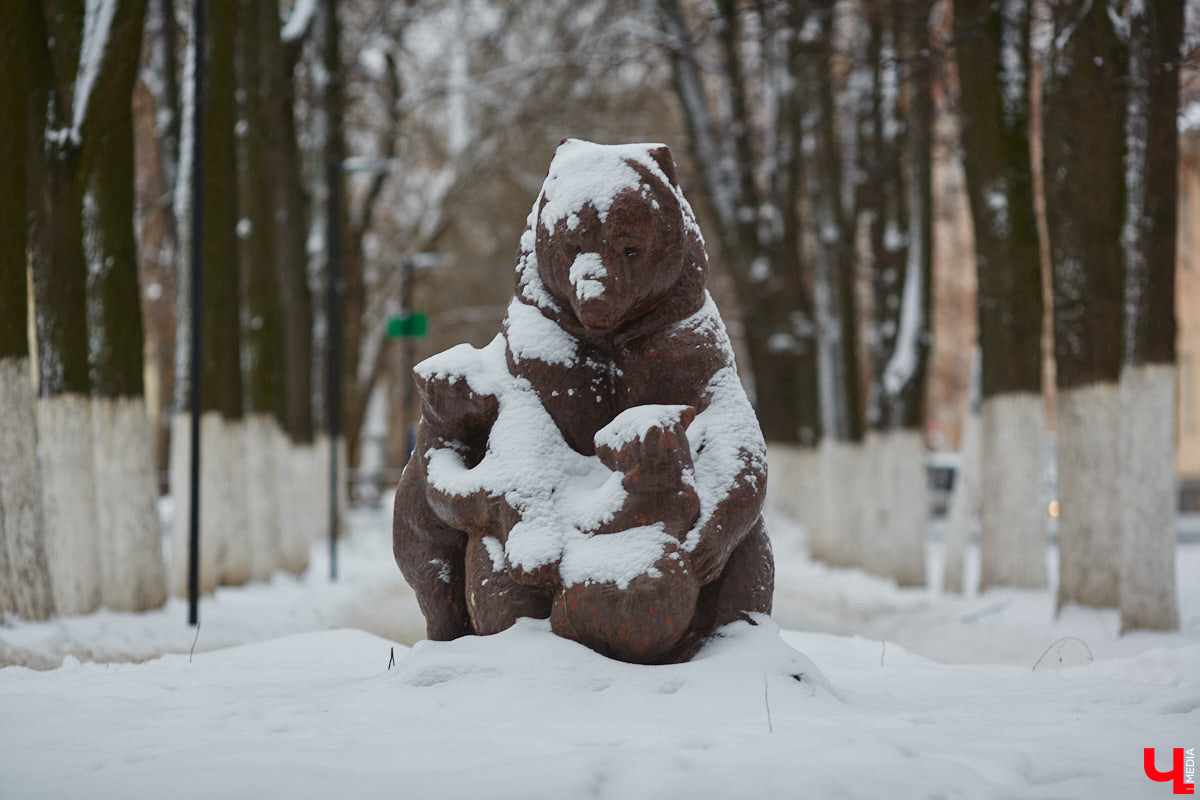 В областной столице регулярно появляются спортивные зоны и детские площадки, а вот централизованных территорий для выгула и дрессировки собак дефицит. За пару лет было построено несколько парков в разных районах города. Оценить существующую дог-инфраструктуру «Ключ-Медиа» попросил владимирского кинолога.
