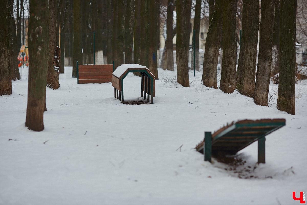 В областной столице регулярно появляются спортивные зоны и детские площадки, а вот централизованных территорий для выгула и дрессировки собак дефицит. За пару лет было построено несколько парков в разных районах города. Оценить существующую дог-инфраструктуру «Ключ-Медиа» попросил владимирского кинолога.
