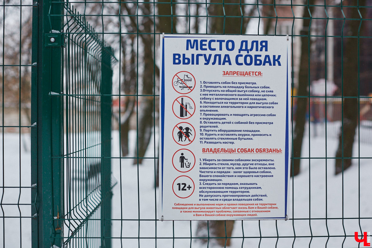 В областной столице регулярно появляются спортивные зоны и детские площадки, а вот централизованных территорий для выгула и дрессировки собак дефицит. За пару лет было построено несколько парков в разных районах города. Оценить существующую дог-инфраструктуру «Ключ-Медиа» попросил владимирского кинолога.