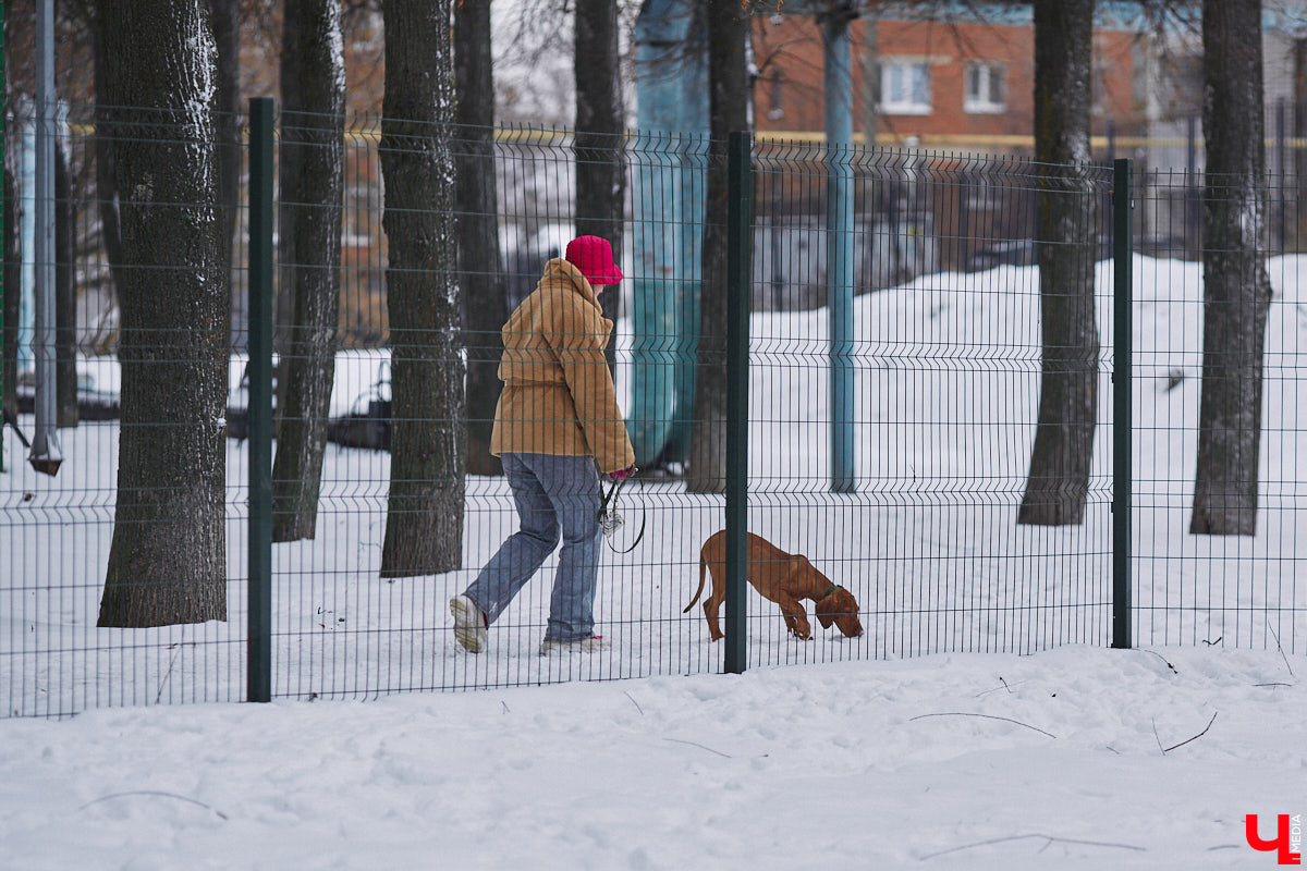 В областной столице регулярно появляются спортивные зоны и детские площадки, а вот централизованных территорий для выгула и дрессировки собак дефицит. За пару лет было построено несколько парков в разных районах города. Оценить существующую дог-инфраструктуру «Ключ-Медиа» попросил владимирского кинолога.
