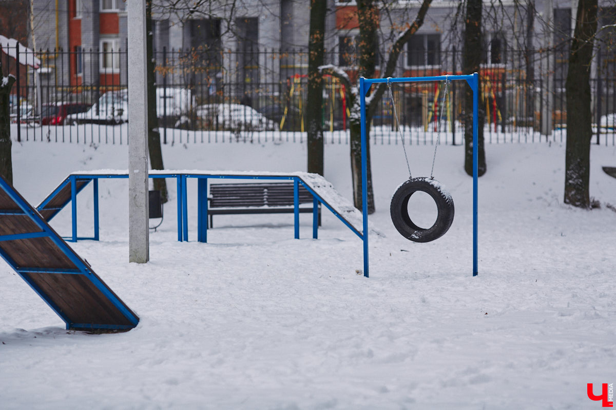 В областной столице регулярно появляются спортивные зоны и детские площадки, а вот централизованных территорий для выгула и дрессировки собак дефицит. За пару лет было построено несколько парков в разных районах города. Оценить существующую дог-инфраструктуру «Ключ-Медиа» попросил владимирского кинолога.