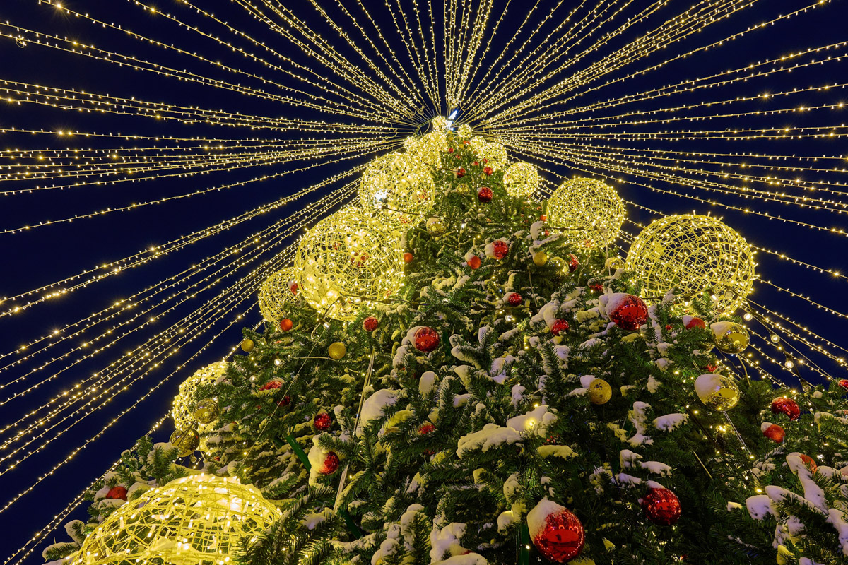 Первые дни января, безусловно, запомнятся жителям 33-го региона аномальными температурами. Морозы ворвались без особого приглашения прямо за праздничный стол, и выпроводить их удалось только с началом рабочей недели. В Гидрометцентре сообщили, что это были самые холодные зимние каникулы за последние 36 лет. Но на них рекорды наступившего года не заканчиваются.