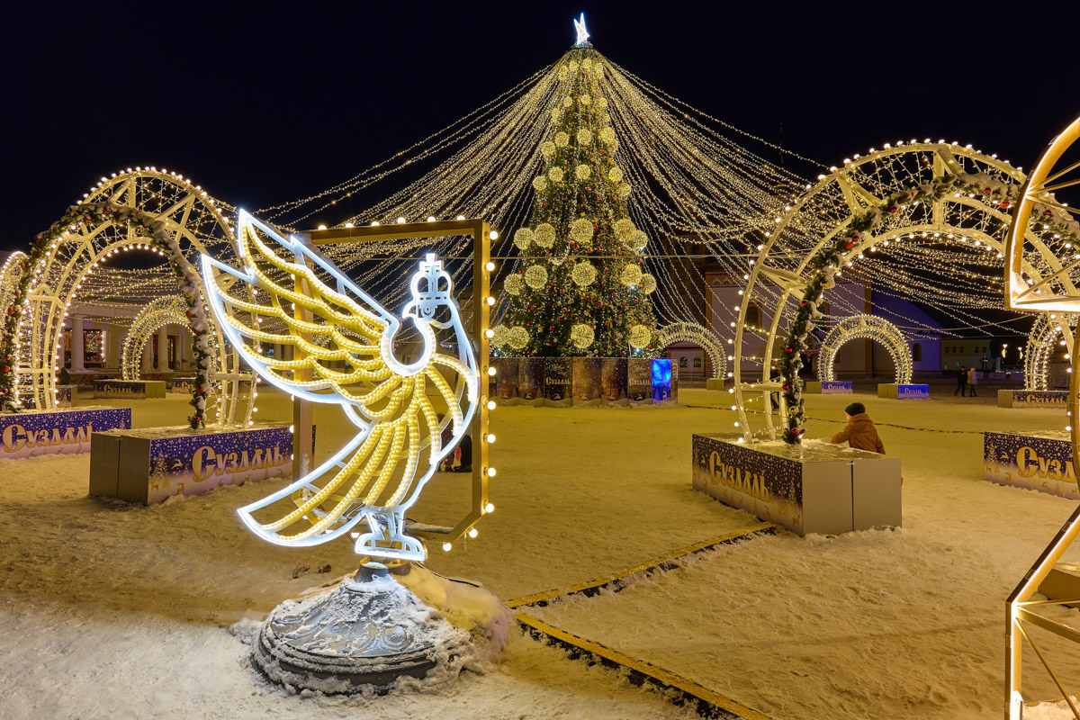 Первые дни января, безусловно, запомнятся жителям 33-го региона аномальными температурами. Морозы ворвались без особого приглашения прямо за праздничный стол, и выпроводить их удалось только с началом рабочей недели. В Гидрометцентре сообщили, что это были самые холодные зимние каникулы за последние 36 лет. Но на них рекорды наступившего года не заканчиваются.