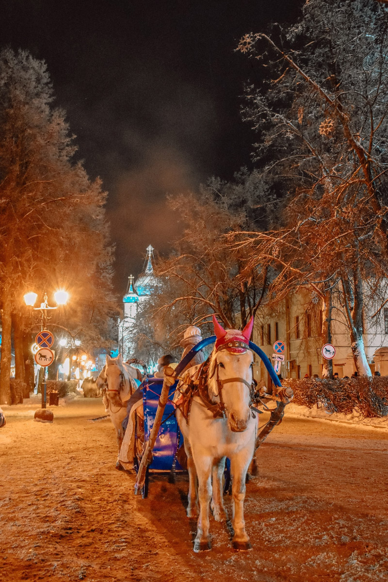 Первые дни января, безусловно, запомнятся жителям 33-го региона аномальными температурами. Морозы ворвались без особого приглашения прямо за праздничный стол, и выпроводить их удалось только с началом рабочей недели. В Гидрометцентре сообщили, что это были самые холодные зимние каникулы за последние 36 лет. Но на них рекорды наступившего года не заканчиваются.