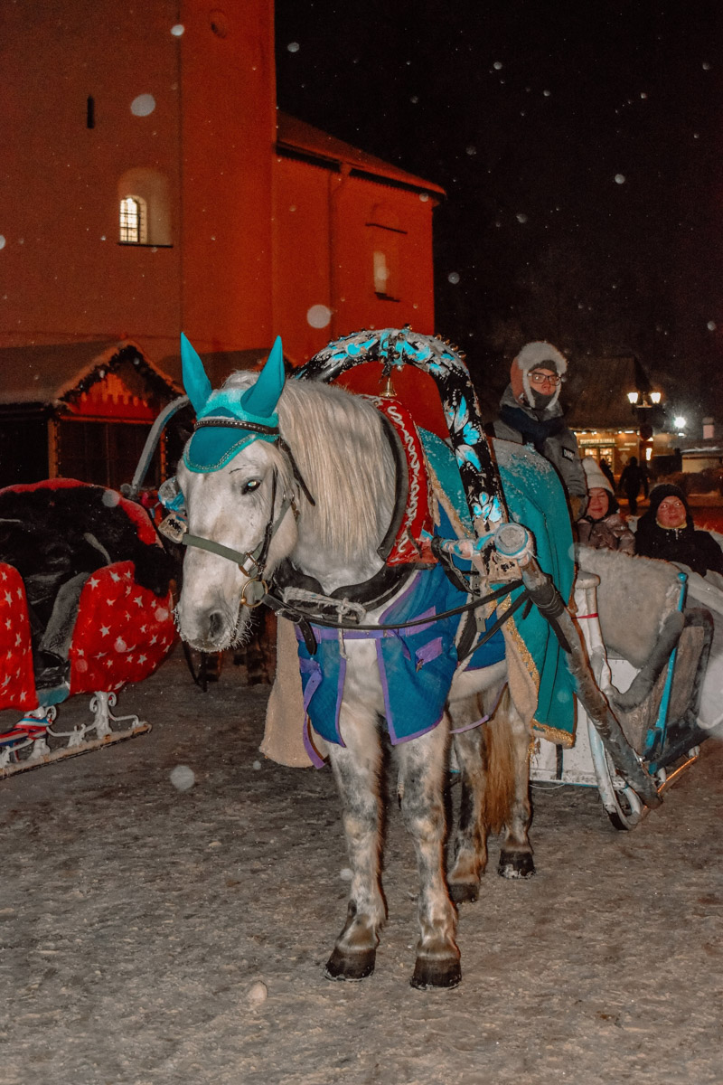 Первые дни января, безусловно, запомнятся жителям 33-го региона аномальными температурами. Морозы ворвались без особого приглашения прямо за праздничный стол, и выпроводить их удалось только с началом рабочей недели. В Гидрометцентре сообщили, что это были самые холодные зимние каникулы за последние 36 лет. Но на них рекорды наступившего года не заканчиваются.