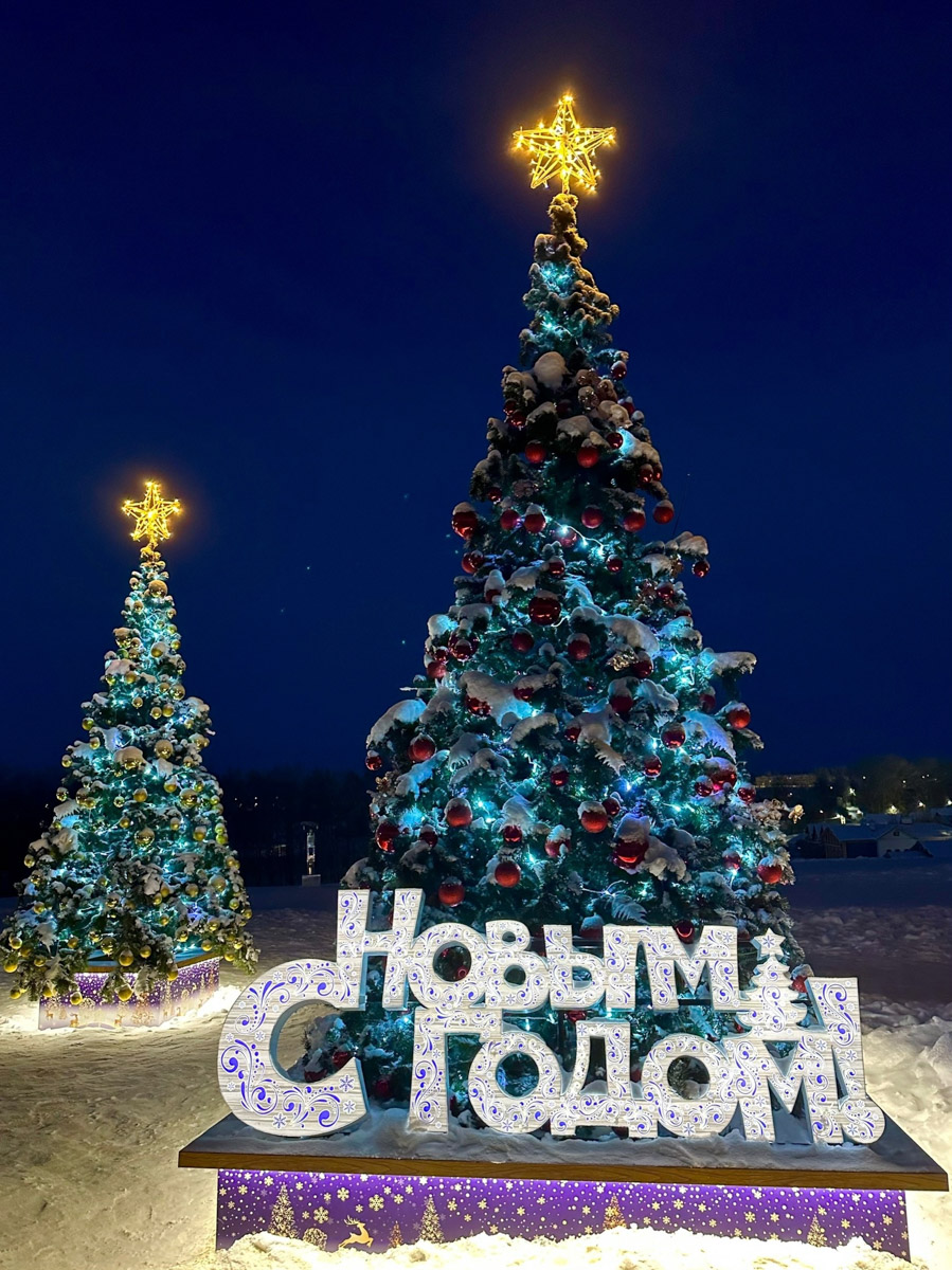 Первые дни января, безусловно, запомнятся жителям 33-го региона аномальными температурами. Морозы ворвались без особого приглашения прямо за праздничный стол, и выпроводить их удалось только с началом рабочей недели. В Гидрометцентре сообщили, что это были самые холодные зимние каникулы за последние 36 лет. Но на них рекорды наступившего года не заканчиваются.