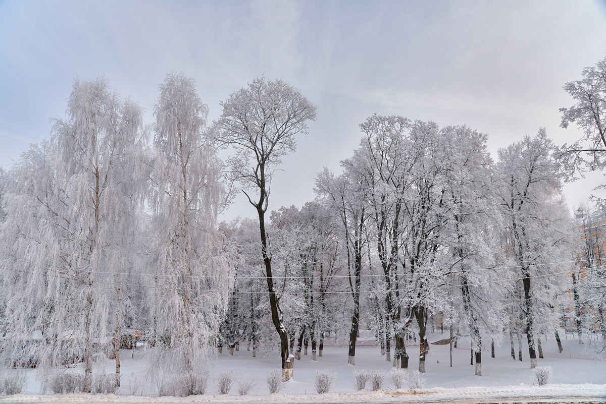 Первые дни января, безусловно, запомнятся жителям 33-го региона аномальными температурами. Морозы ворвались без особого приглашения прямо за праздничный стол, и выпроводить их удалось только с началом рабочей недели. В Гидрометцентре сообщили, что это были самые холодные зимние каникулы за последние 36 лет. Но на них рекорды наступившего года не заканчиваются.