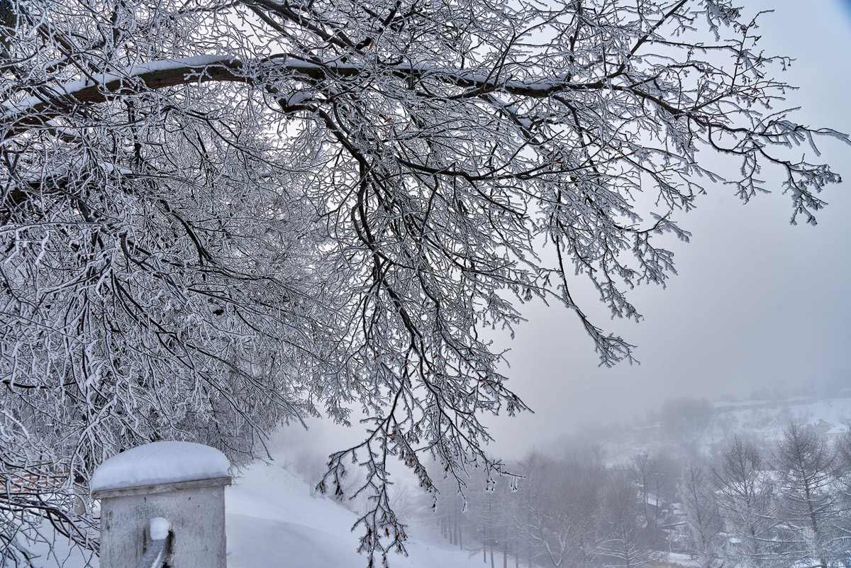 Первые дни января, безусловно, запомнятся жителям 33-го региона аномальными температурами. Морозы ворвались без особого приглашения прямо за праздничный стол, и выпроводить их удалось только с началом рабочей недели. В Гидрометцентре сообщили, что это были самые холодные зимние каникулы за последние 36 лет. Но на них рекорды наступившего года не заканчиваются.