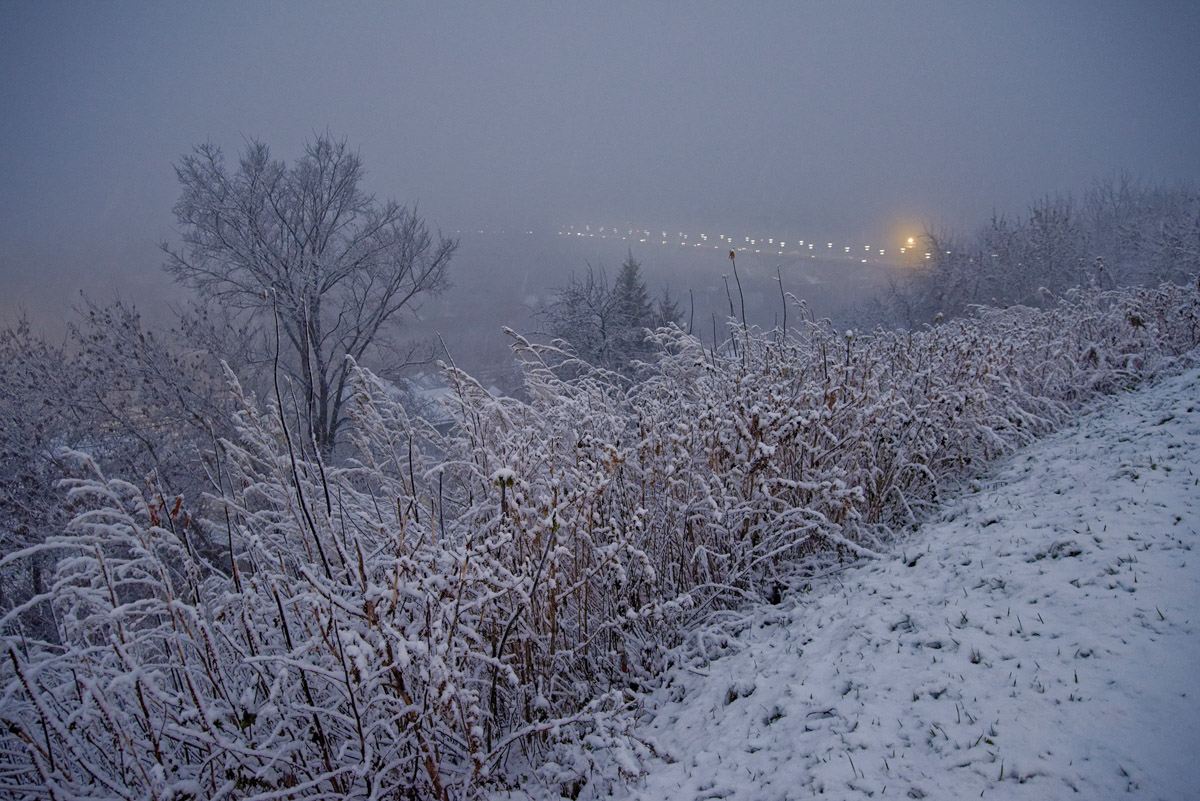 Первые дни января, безусловно, запомнятся жителям 33-го региона аномальными температурами. Морозы ворвались без особого приглашения прямо за праздничный стол, и выпроводить их удалось только с началом рабочей недели. В Гидрометцентре сообщили, что это были самые холодные зимние каникулы за последние 36 лет. Но на них рекорды наступившего года не заканчиваются.