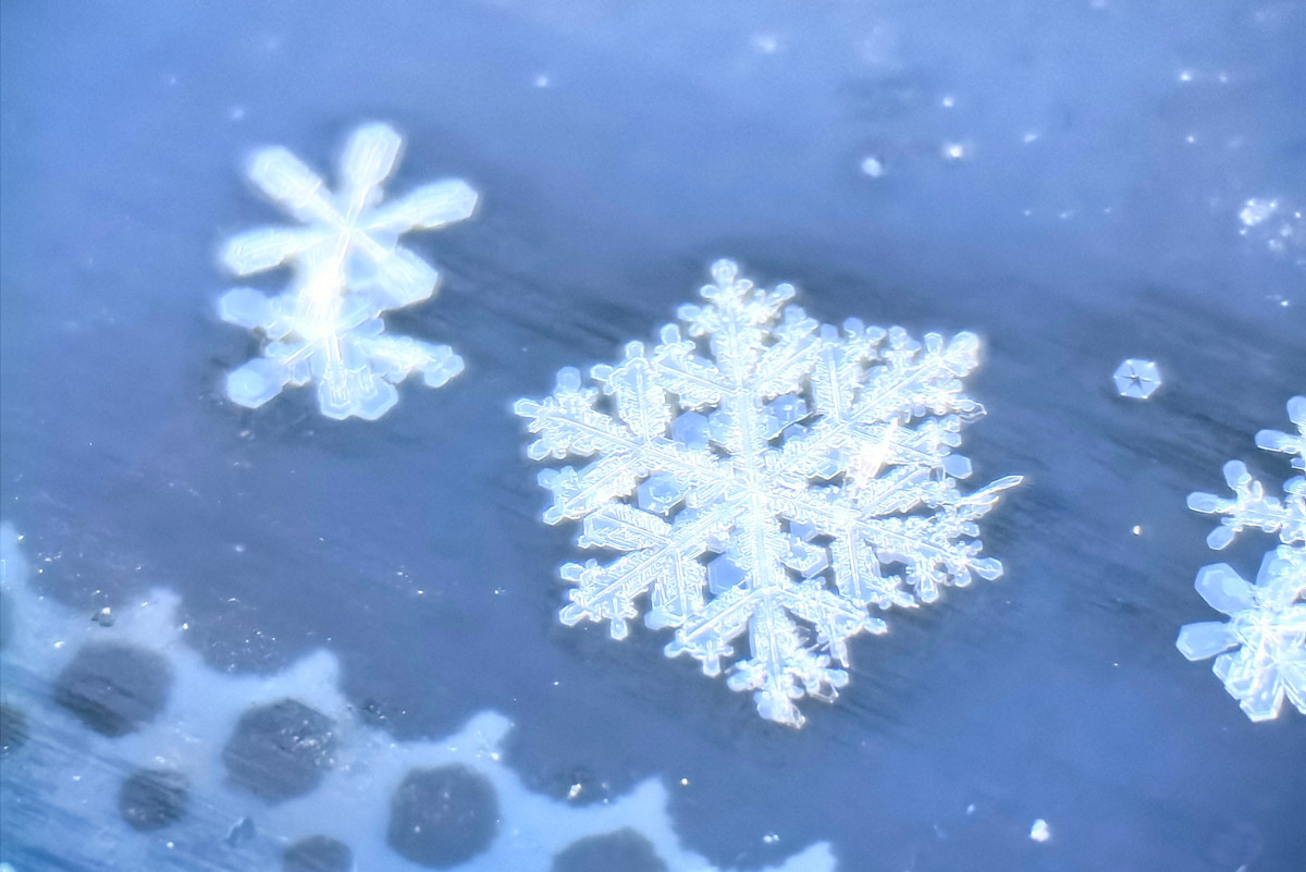 Первые дни января, безусловно, запомнятся жителям 33-го региона аномальными температурами. Морозы ворвались без особого приглашения прямо за праздничный стол, и выпроводить их удалось только с началом рабочей недели. В Гидрометцентре сообщили, что это были самые холодные зимние каникулы за последние 36 лет. Но на них рекорды наступившего года не заканчиваются.