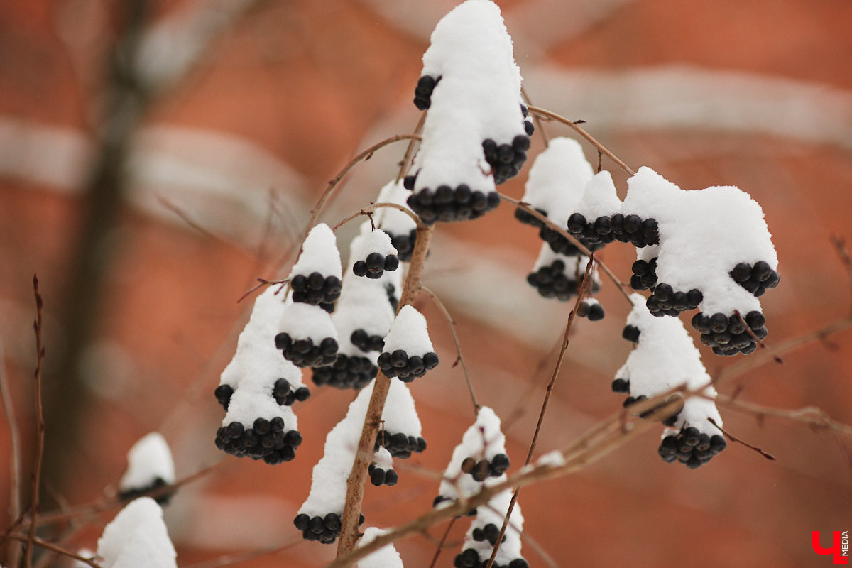 Отгулять каникулы в суровый мороз у нас получилось. Можно считать, что с этим заданием под звездочкой мы справились. Но расслабляться рано, делайте короткую передышку и готовьтесь встречать новую волну похолодания.