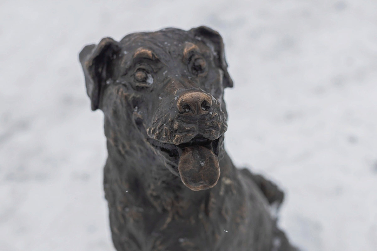 Всего за один месяц в городах нашего региона открыли несколько новых арт-объектов. Так, в Муроме установили скульптурную композицию местных жителей 19 века, а в Гусь-Хрустальном — двухметровую фигуру стеклодува. В Юрьеве-Польском же поселились персонажи известного фильма «Золотой теленок».