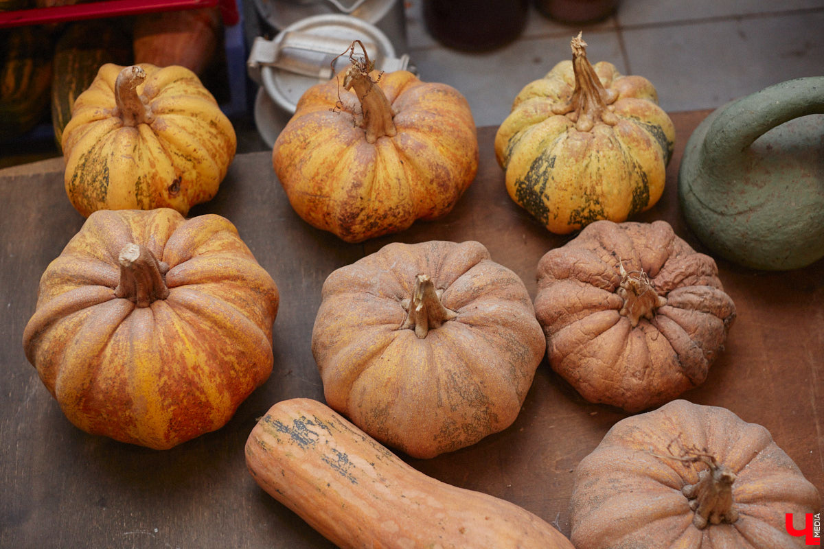 Экспериментаторы, фермеры и агрожурналисты Галина и Эдуард Кошевец подчинились требованиям деревенского дома, создали образцовое хозяйство полного цикла и вывели свою формулу счастья. Ну а мы заглянули в гости к  ним в особняк, расположенный на территории усадьбы Грибоедовых.  