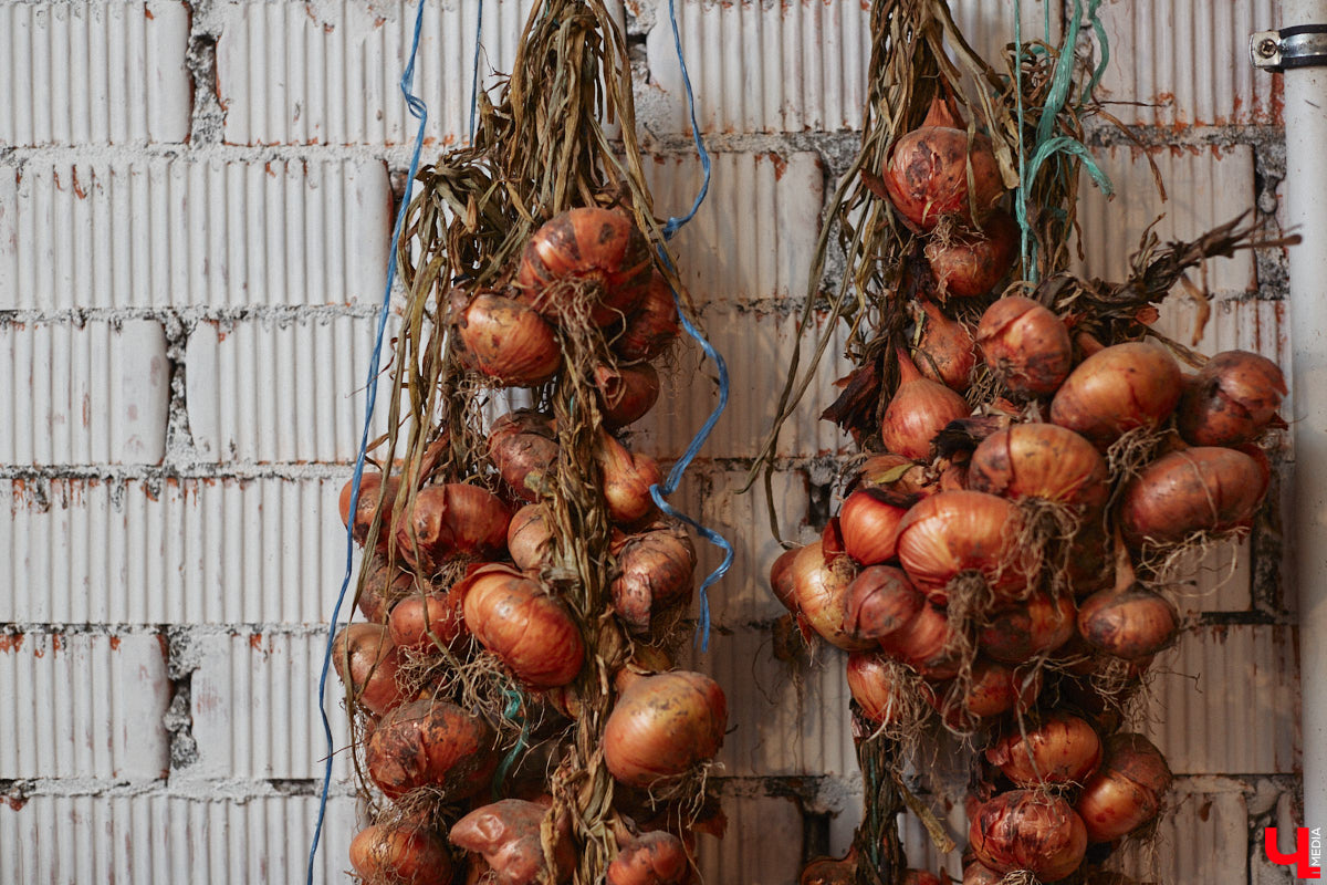 Экспериментаторы, фермеры и агрожурналисты Галина и Эдуард Кошевец подчинились требованиям деревенского дома, создали образцовое хозяйство полного цикла и вывели свою формулу счастья. Ну а мы заглянули в гости к  ним в особняк, расположенный на территории усадьбы Грибоедовых.  