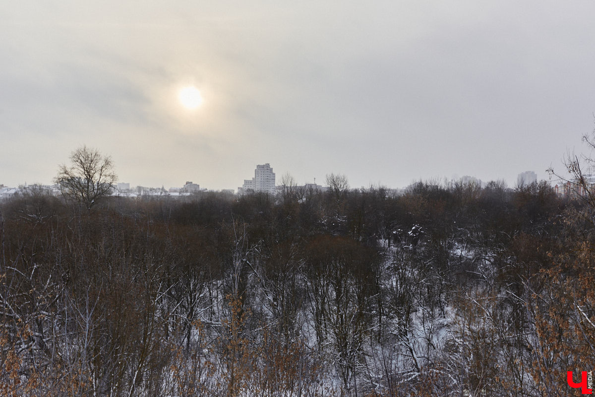 На этой неделе во Владимире приступили к благоустройству старых садов возле ДДюТ. На первом этапе планируют спроектировать и построить дорогу от Лыбедской магистрали до улицы Пушкарской, но сначала подрядная организация должна расчистить место будущей трассы от зеленых насаждений и сухостоя.