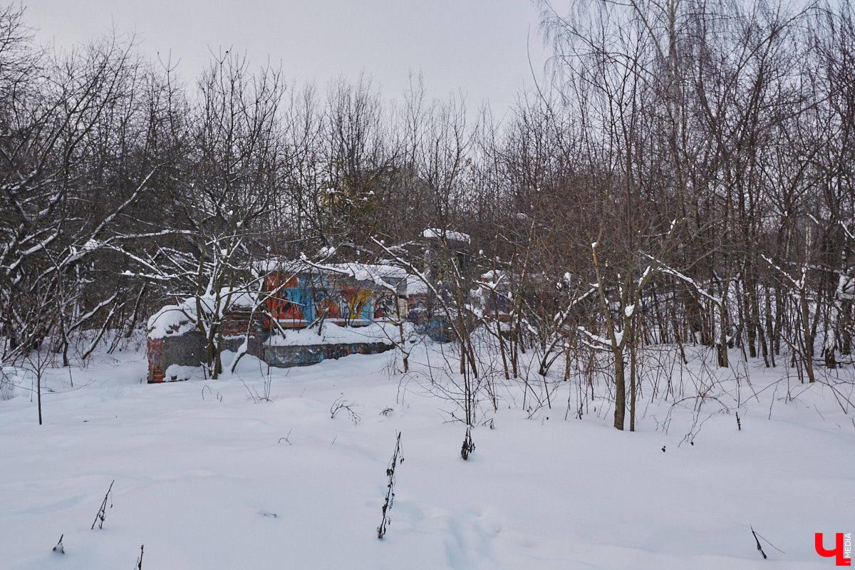 На этой неделе во Владимире приступили к благоустройству старых садов возле ДДюТ. На первом этапе планируют спроектировать и построить дорогу от Лыбедской магистрали до улицы Пушкарской, но сначала подрядная организация должна расчистить место будущей трассы от зеленых насаждений и сухостоя.