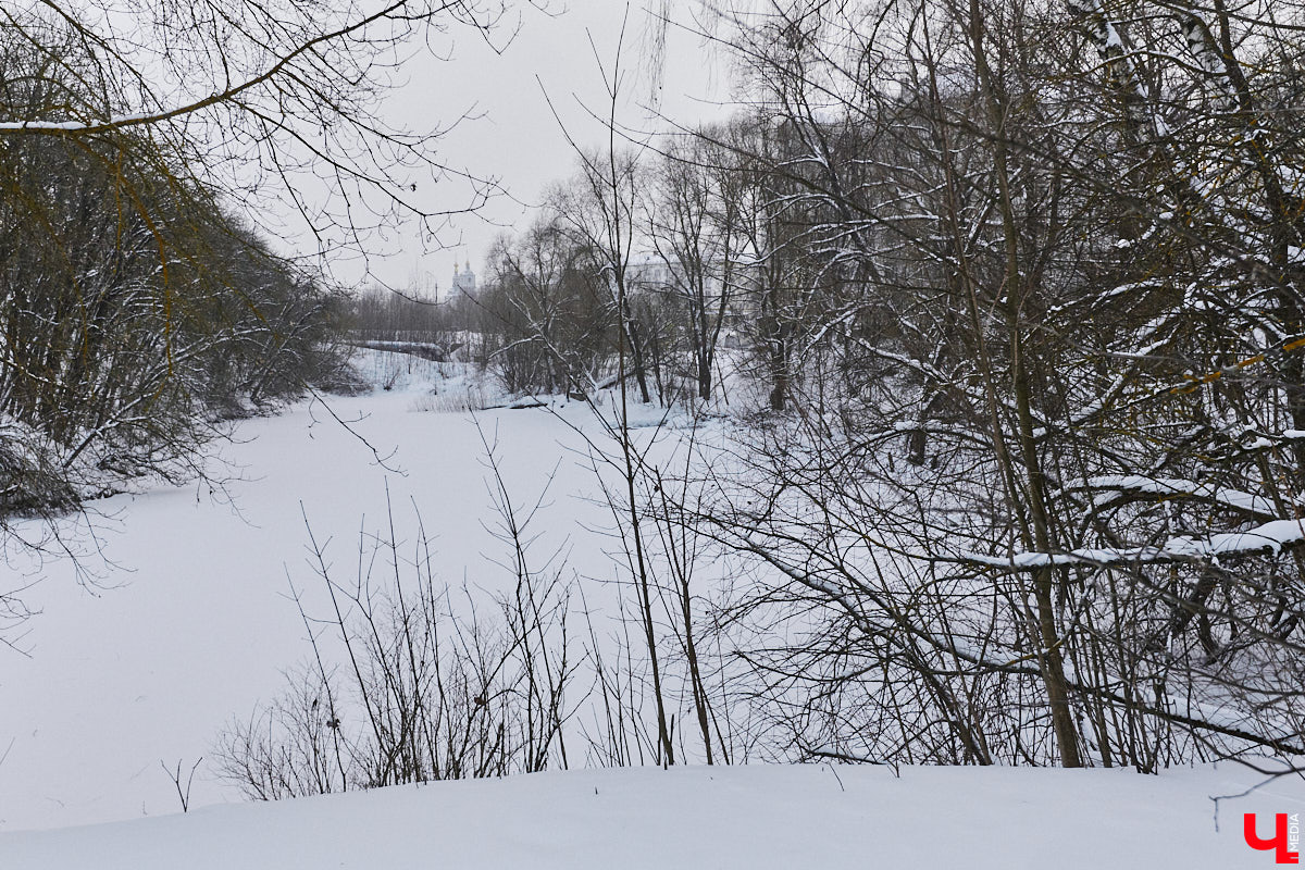 На этой неделе во Владимире приступили к благоустройству старых садов возле ДДюТ. На первом этапе планируют спроектировать и построить дорогу от Лыбедской магистрали до улицы Пушкарской, но сначала подрядная организация должна расчистить место будущей трассы от зеленых насаждений и сухостоя.