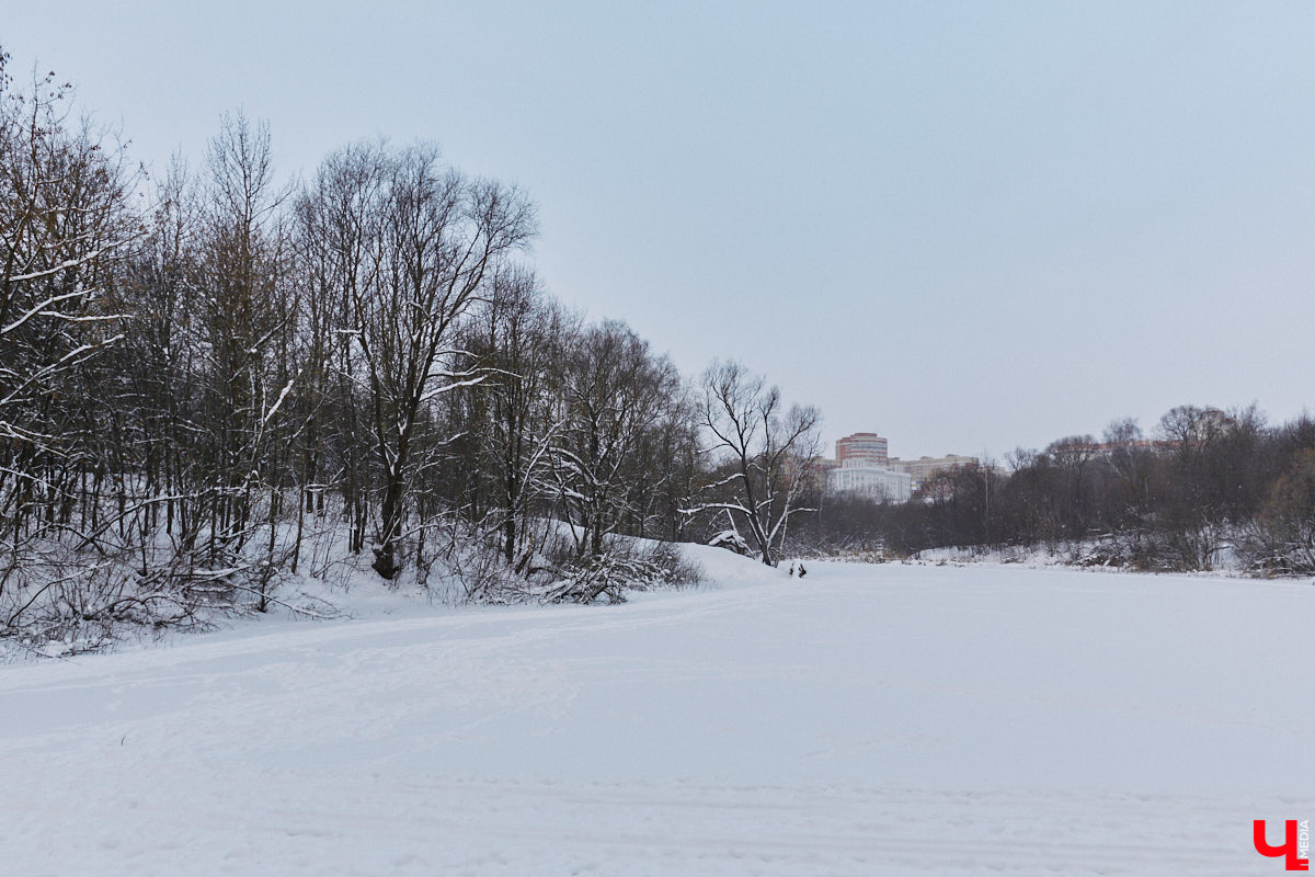 На этой неделе во Владимире приступили к благоустройству старых садов возле ДДюТ. На первом этапе планируют спроектировать и построить дорогу от Лыбедской магистрали до улицы Пушкарской, но сначала подрядная организация должна расчистить место будущей трассы от зеленых насаждений и сухостоя.