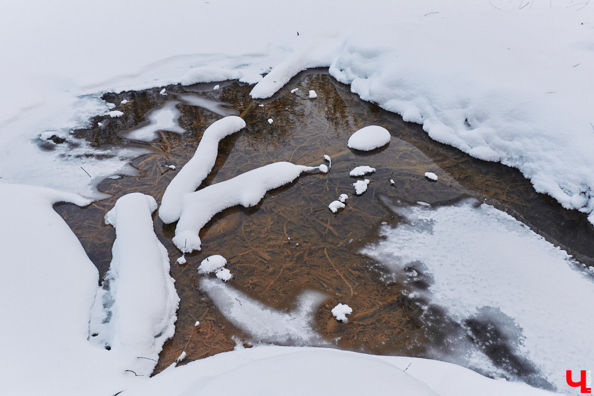 На этой неделе во Владимире приступили к благоустройству старых садов возле ДДюТ. На первом этапе планируют спроектировать и построить дорогу от Лыбедской магистрали до улицы Пушкарской, но сначала подрядная организация должна расчистить место будущей трассы от зеленых насаждений и сухостоя.