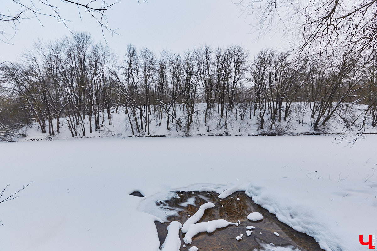 На этой неделе во Владимире приступили к благоустройству старых садов возле ДДюТ. На первом этапе планируют спроектировать и построить дорогу от Лыбедской магистрали до улицы Пушкарской, но сначала подрядная организация должна расчистить место будущей трассы от зеленых насаждений и сухостоя.